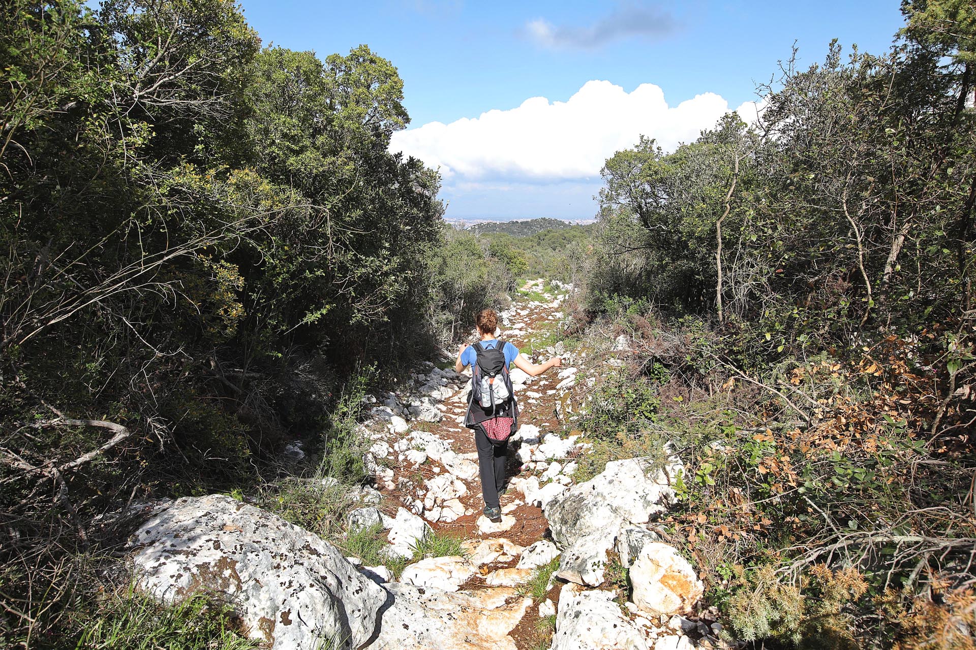 Po otoku - Boris Kačan (1)